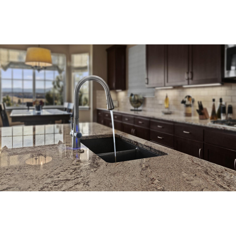 Matte Black Pull-out Spray Kitchen Faucet with Filter System