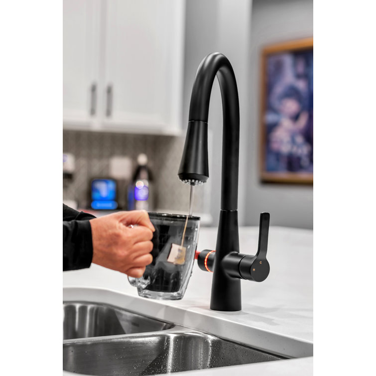 Matte Black Pull-out Spray Kitchen Faucet with Filter System