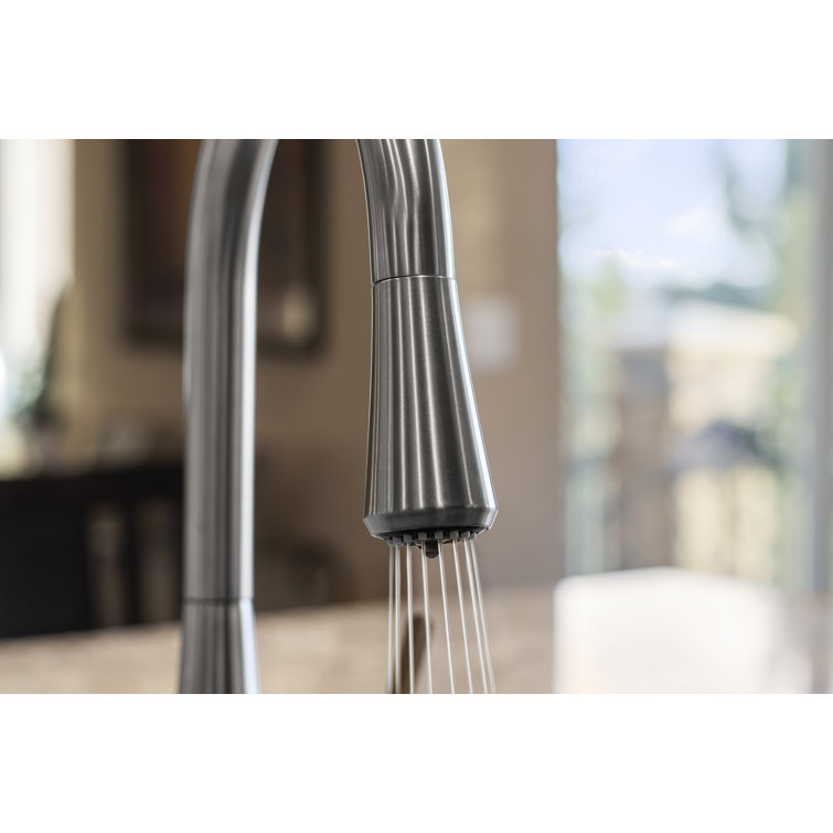 Matte Black Pull-out Spray Kitchen Faucet with Filter System