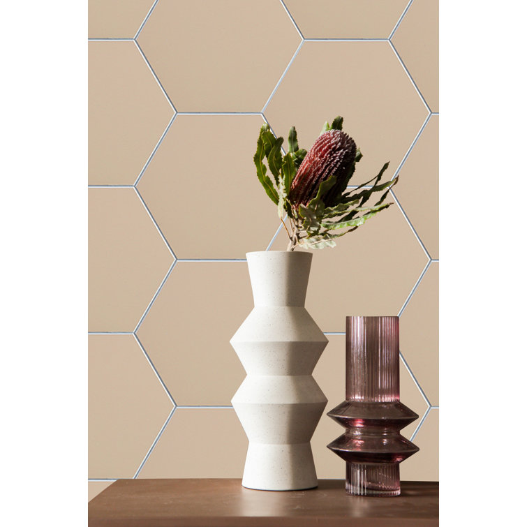 Latte Hexagon Stone Composite Peel & Stick Wall Tile