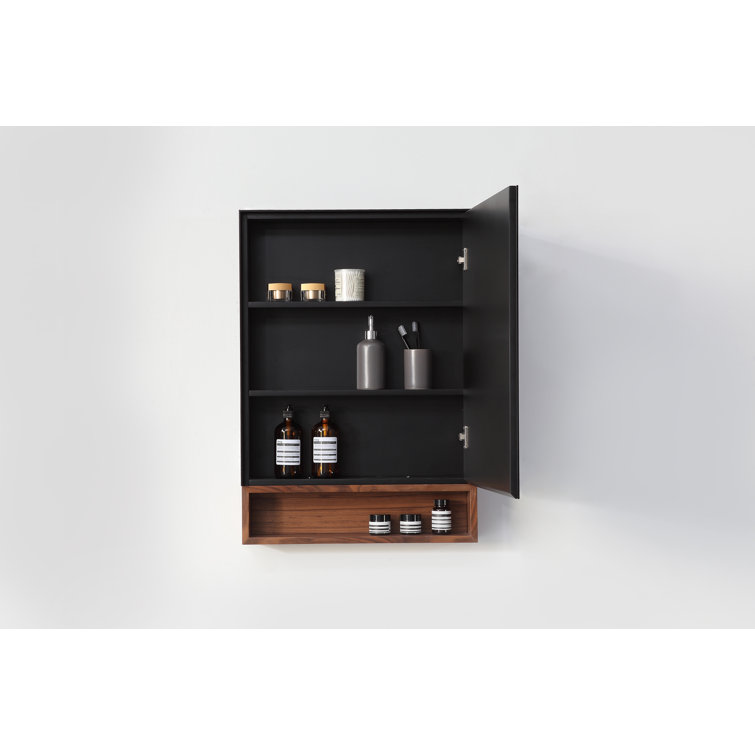 Walnut and Black Mirrored Medicine Cabinet with Shelf