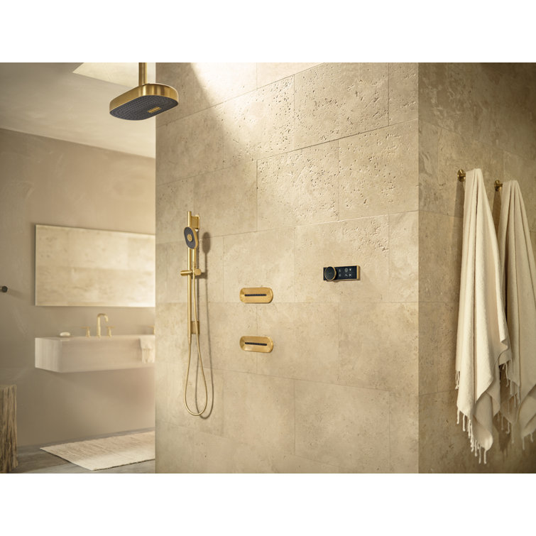 Vibrant Titanium Oval Multifunction Wall Mounted Handshower
