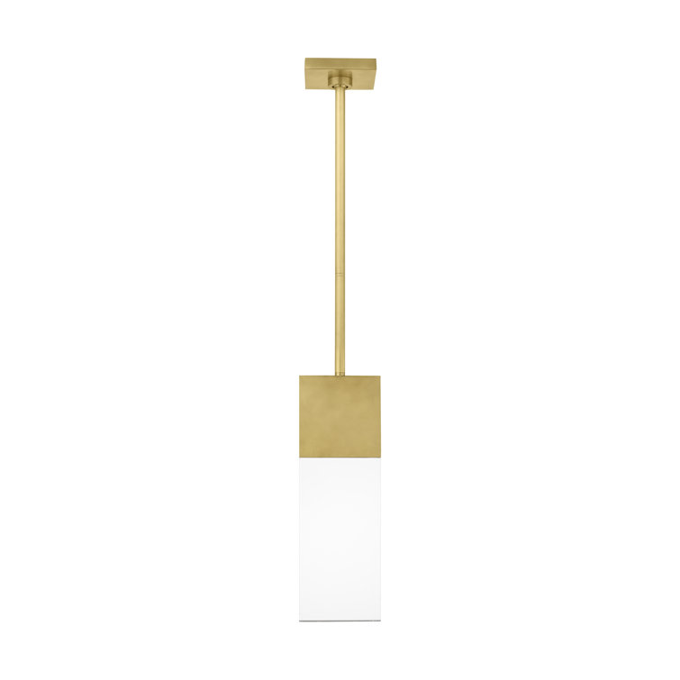 Natural Brass and Clear Glass LED Indoor/Outdoor Pendant Light