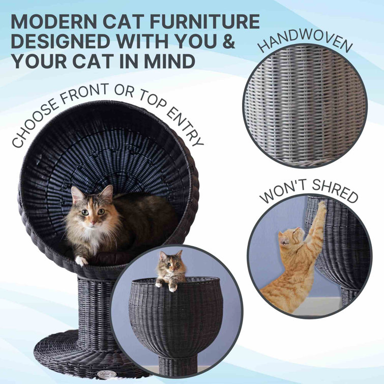 Espresso Faux Rattan Elevated Round Cat Bed with Cushion