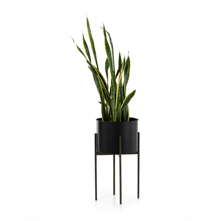Jed 26" Tall Black Iron Planter with Brass Accents