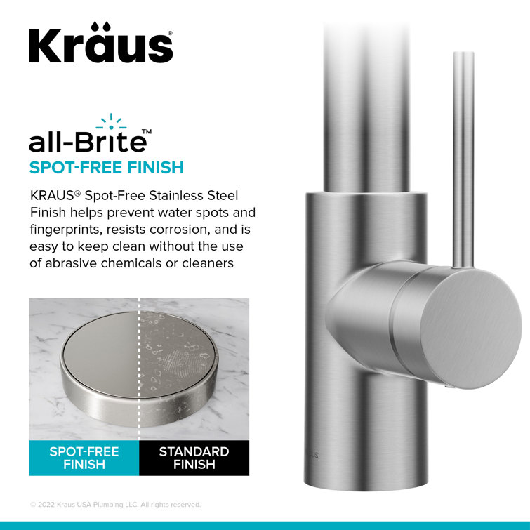 Spot-Free Stainless Steel Pull-Down Kitchen Faucet with Spray