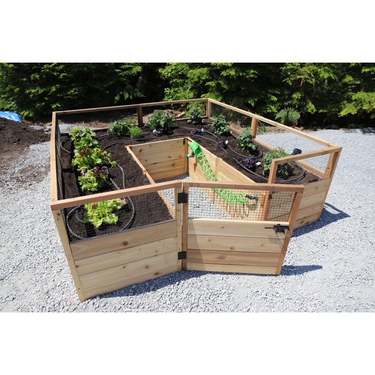 8 ft. x 8 ft. Cedar Raised Garden Bed with Mesh Fencing