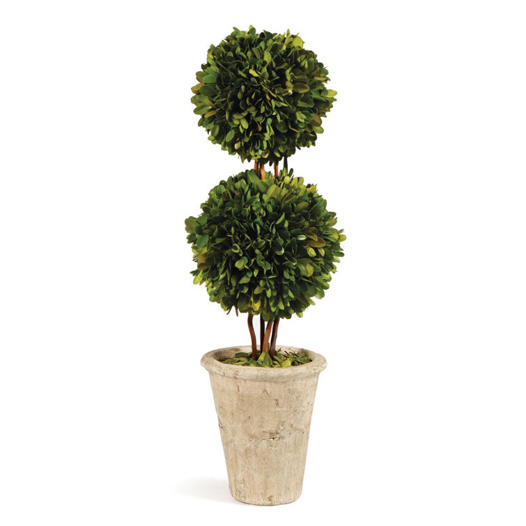 20" Green Boxwood Double Sphere Topiary in Beige Ceramic Pot