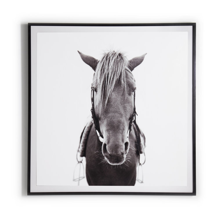 48" Black and White Horse Print with Maple Frame