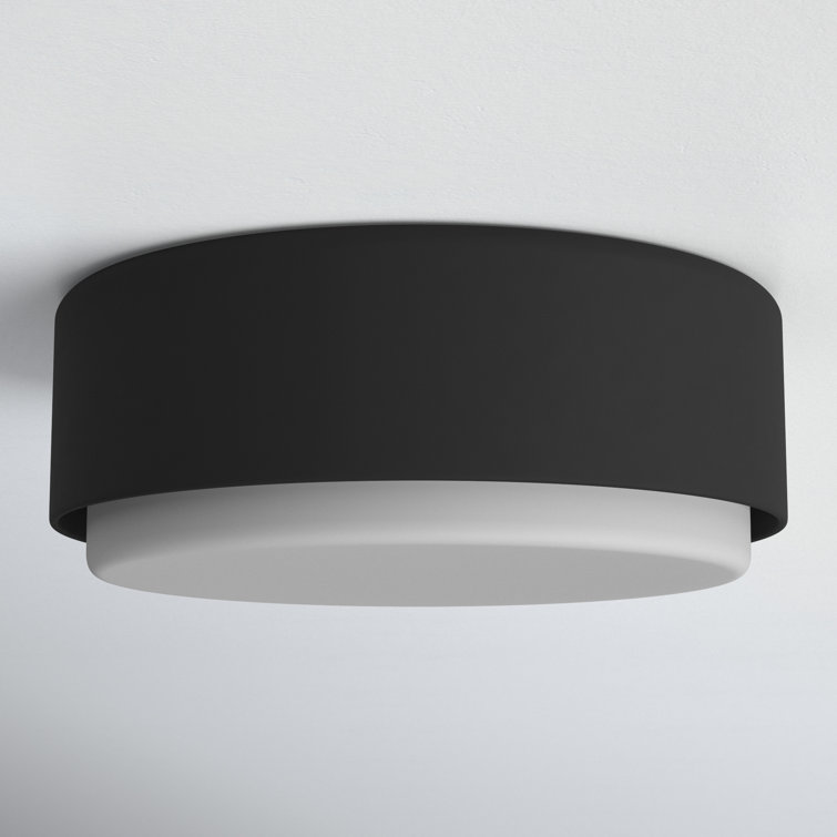 Fitzgerald Black Etched Opal Glass 2-Light Modern Flush Mount