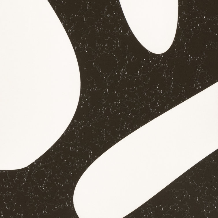 Organic Black and White Abstract Canvas Wall Art Set