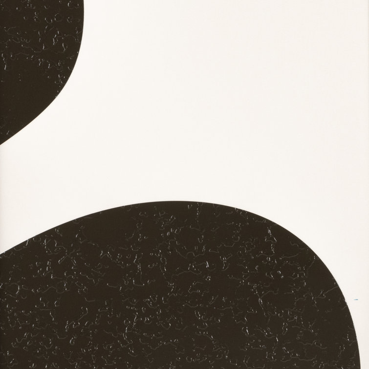 Organic Black and White Abstract Canvas Wall Art Set