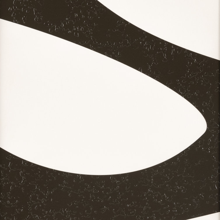 Organic Black and White Abstract Canvas Wall Art Set