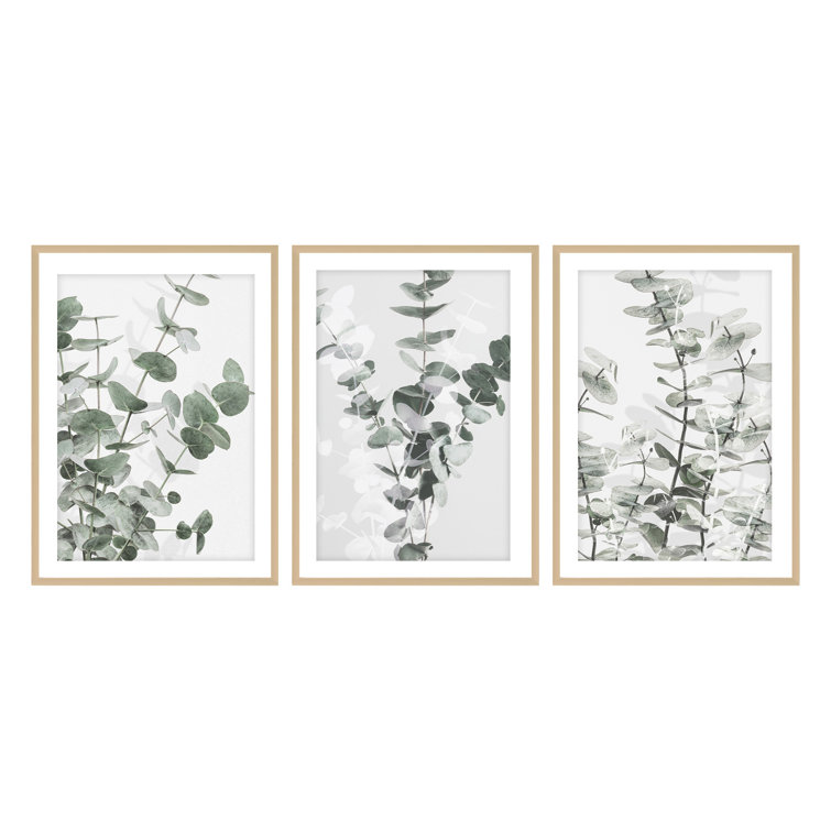 Eucalyptus Green and White Framed Botanical Print Set