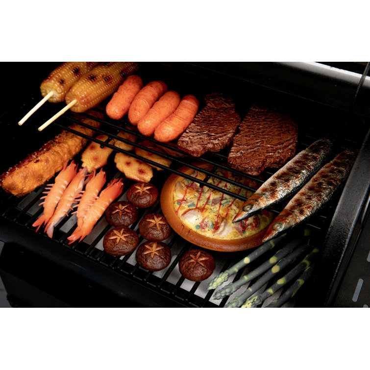 Bronze and Black Wood Pellet Grill with Skylights