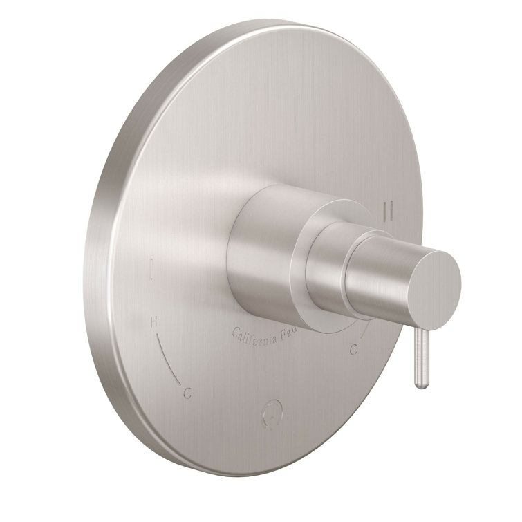 Satin Nickel Modern Wall-Mounted Shower Lever Trim