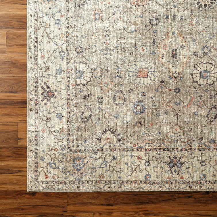 Davina Vintage-Inspired Gray Synthetic Area Rug 3'11" x 5'7"