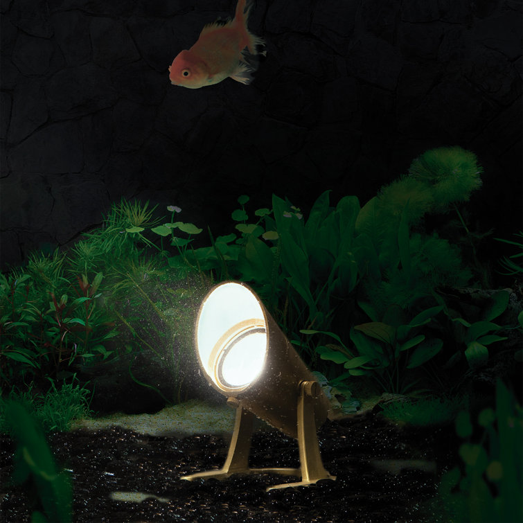 Natural Brass LED Underwater Spotlight