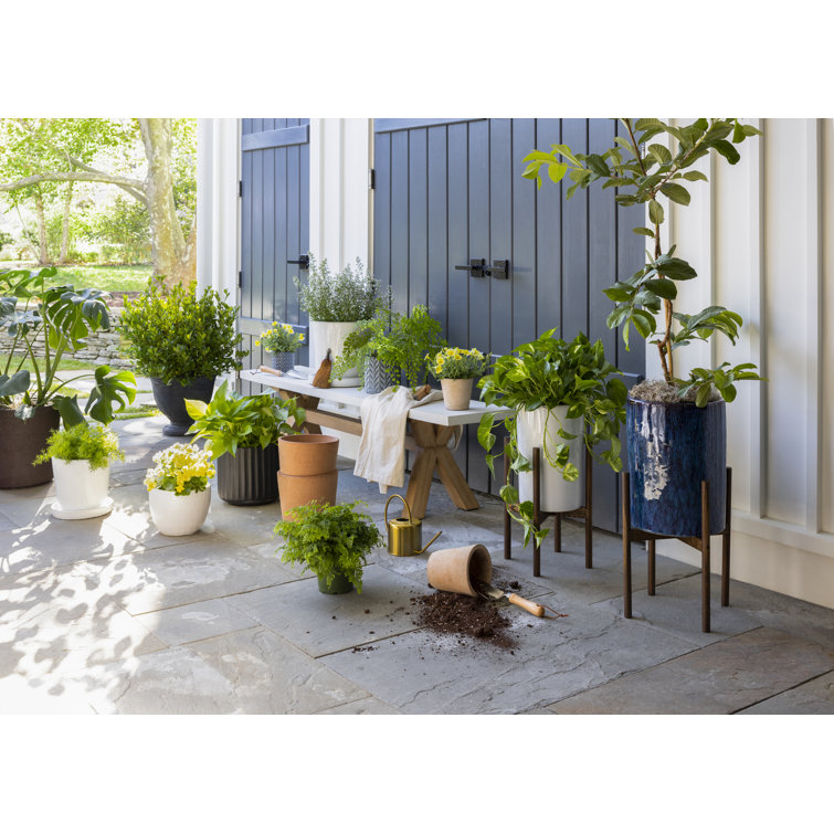 Artisanal White Terracotta Round Pot Planter Trio for Indoors & Outdoors