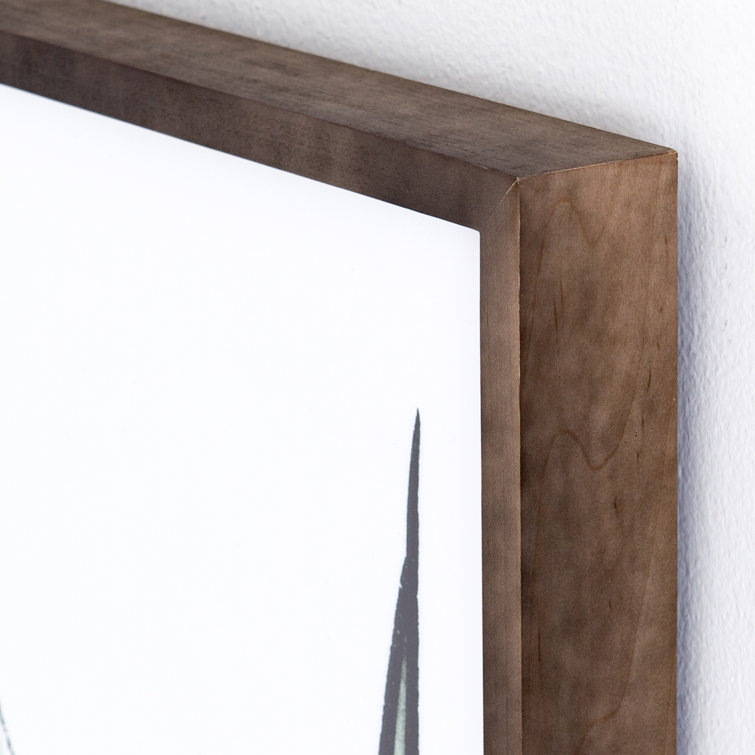Minimalist Green Agave Print in Maple Frame, 39.5" x 39.5"