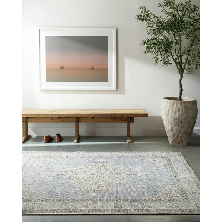 Coastal Charm Dusty Blue Medallion Synthetic Area Rug, 3'11" x 5'7"