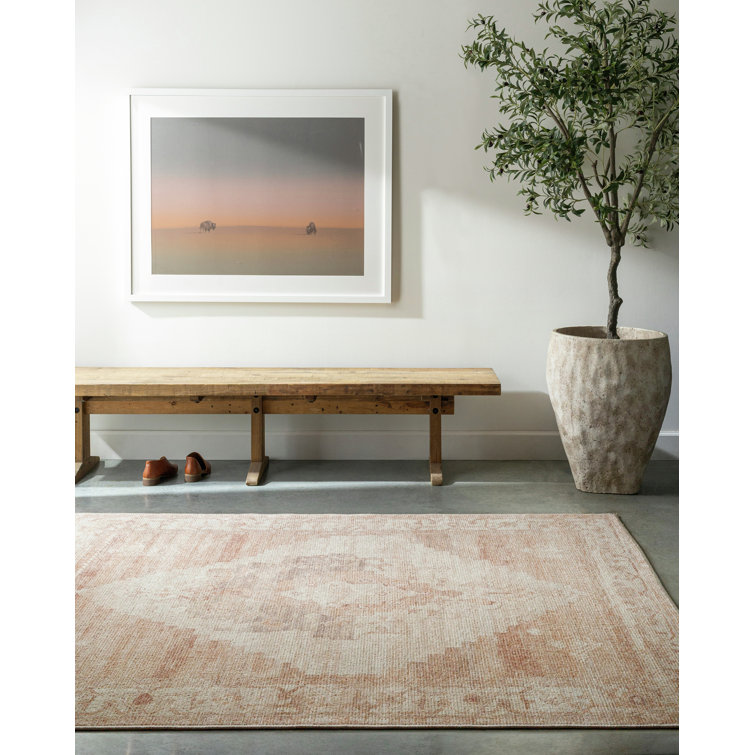 Luca Blush and Beige Vintage Area Rug