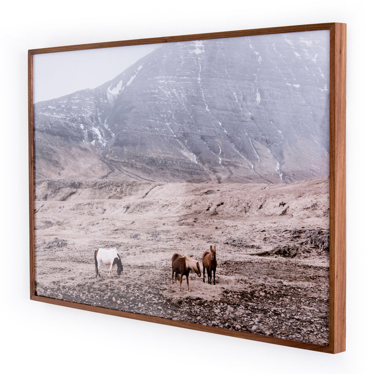 Wild Horses Gray and Brown Canvas Print with Walnut Frame
