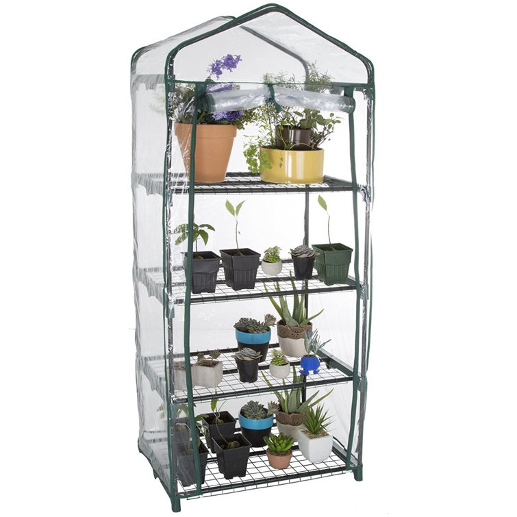 Compact 5' Green Mini Greenhouse with Roll-Up Door and Mesh Shelves
