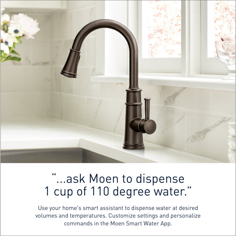 Matte Black Stainless Steel Pull-Down Kitchen Faucet with Spray