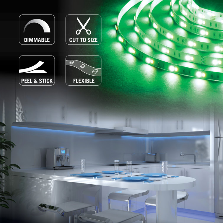RibbonFlex Pro 24V RGB+W LED Tape Light with Remote