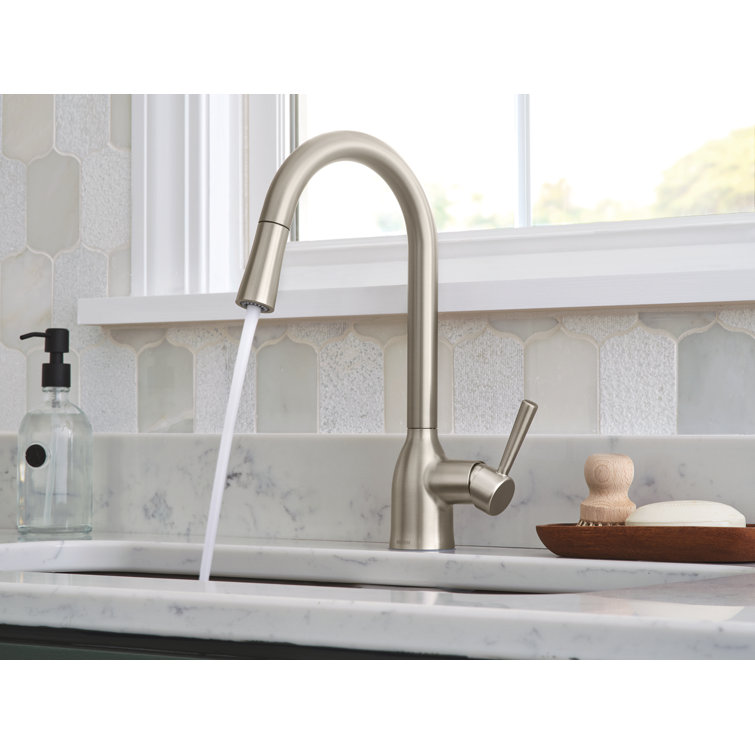 Adler Stainless Steel Pull-Down Kitchen Faucet with Spray