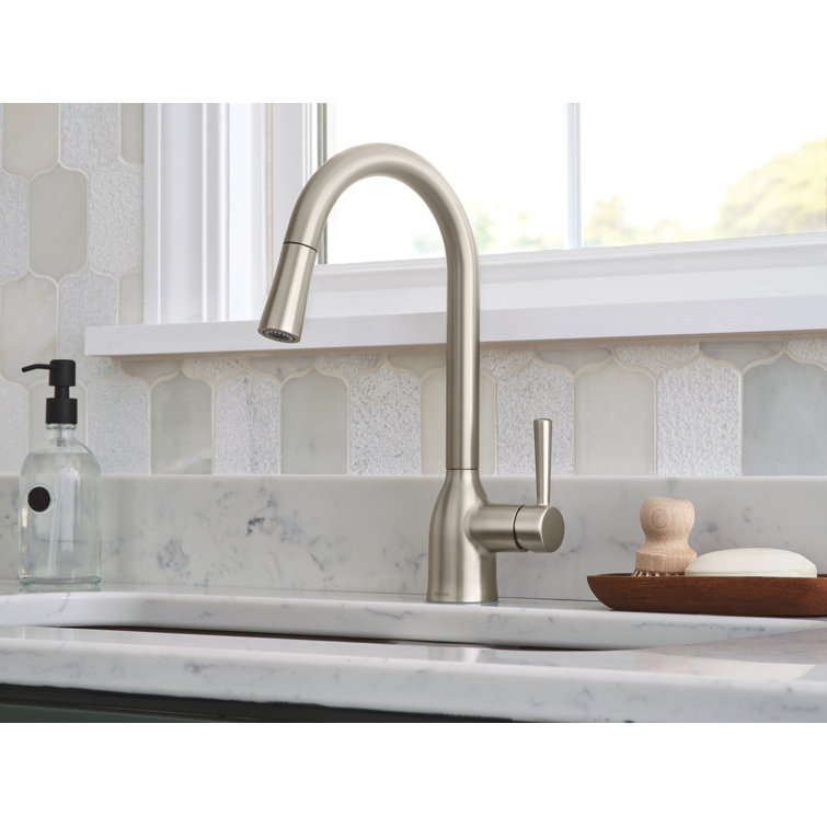 Adler Stainless Steel Pull-Down Kitchen Faucet with Spray