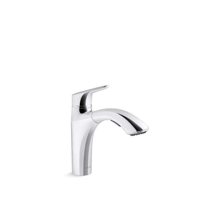 Polished Chrome Single-Handle Pull-Out Kitchen Faucet