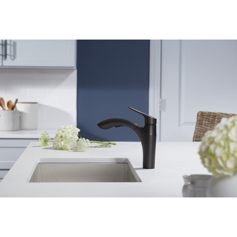 Matte Black Single-Handle Pull-Out Kitchen Faucet