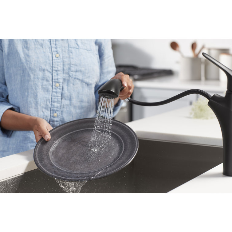 Matte Black Single-Handle Pull-Out Kitchen Faucet