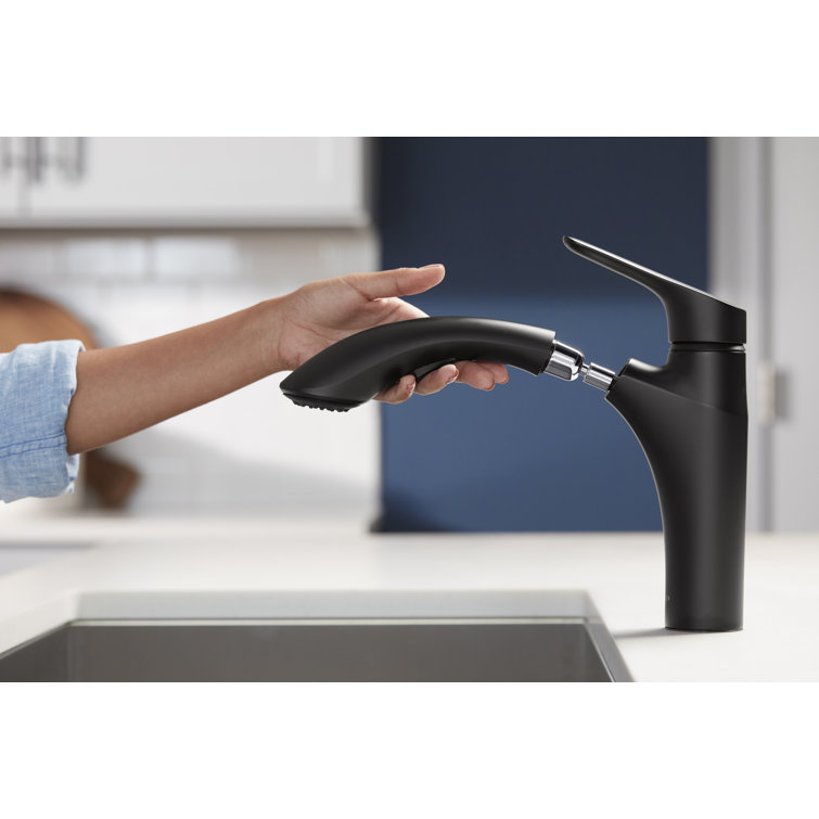 Matte Black Single-Handle Pull-Out Kitchen Faucet