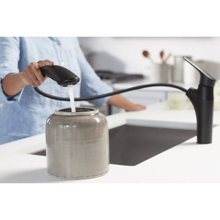 Matte Black Single-Handle Pull-Out Kitchen Faucet