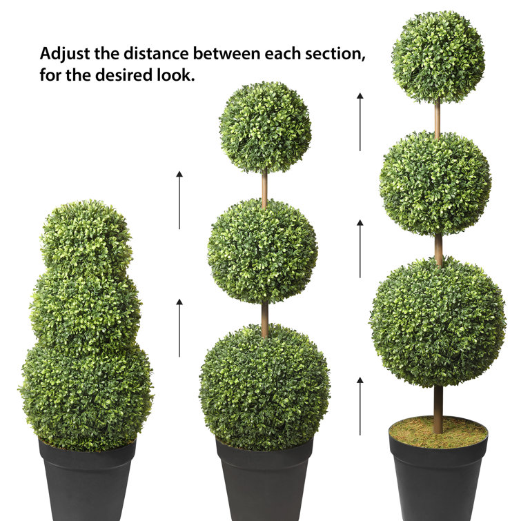 Elegant Adjustable Triple-Ball Boxwood Topiary, 64'' in Plastic Pot
