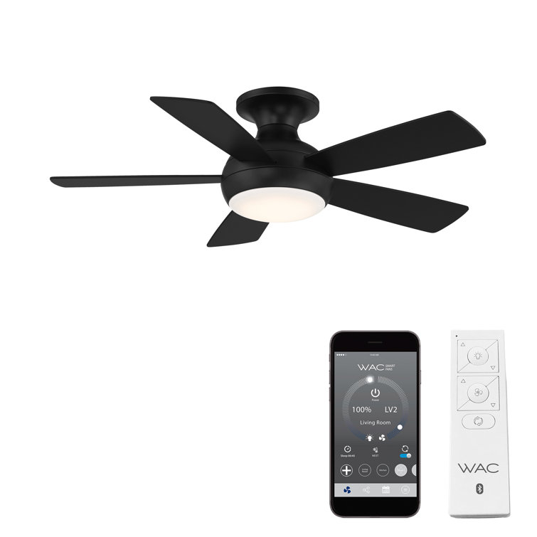 Matte Black 44" Smart Flush Mount Ceiling Fan with LED Light