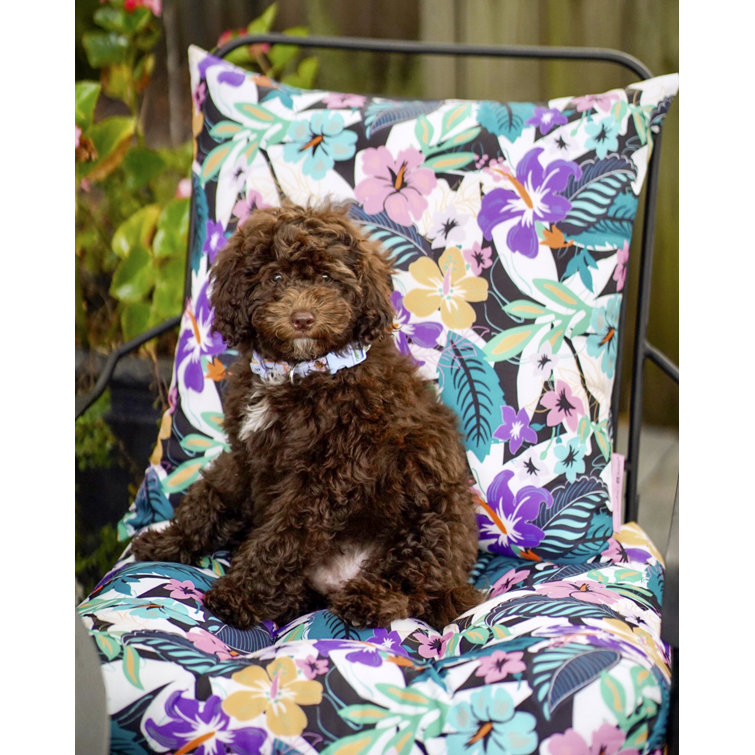 Star Foliage Multicolor Water-Resistant Patio Chair Cushions, 19" x 19" x 5" (2-Pack)