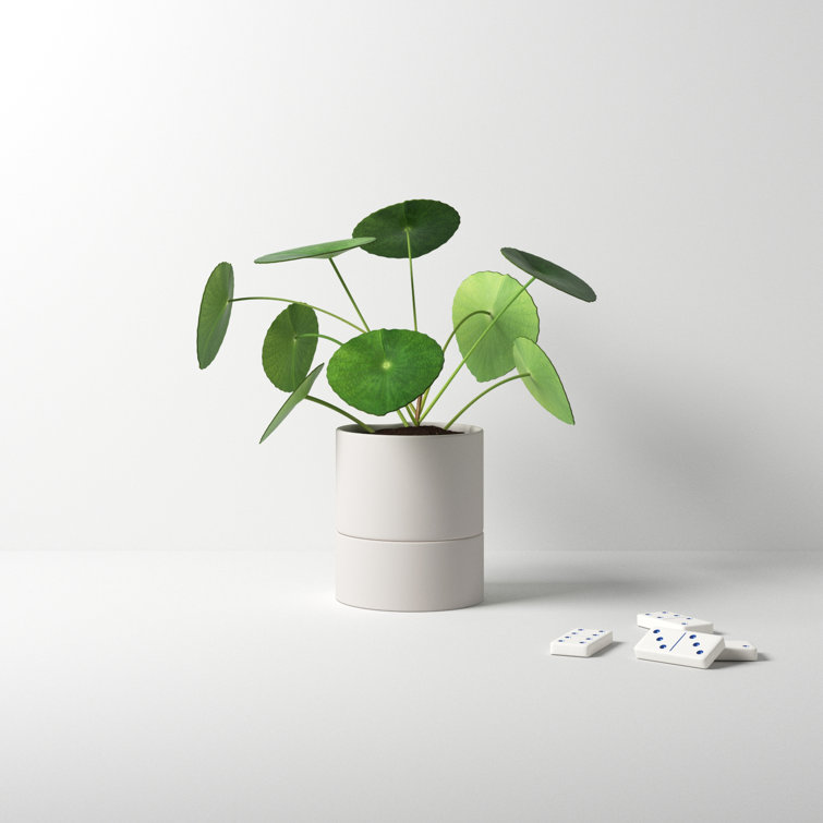 White Ceramic Self-Watering Round Indoor Planter with Saucer
