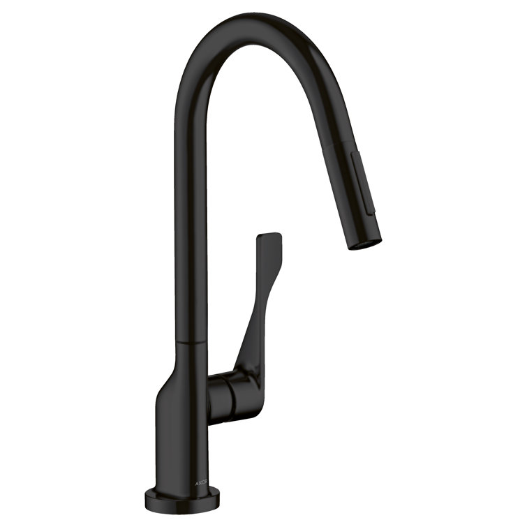Matte Black Pull-Down Kitchen Faucet with Pull-out Spray