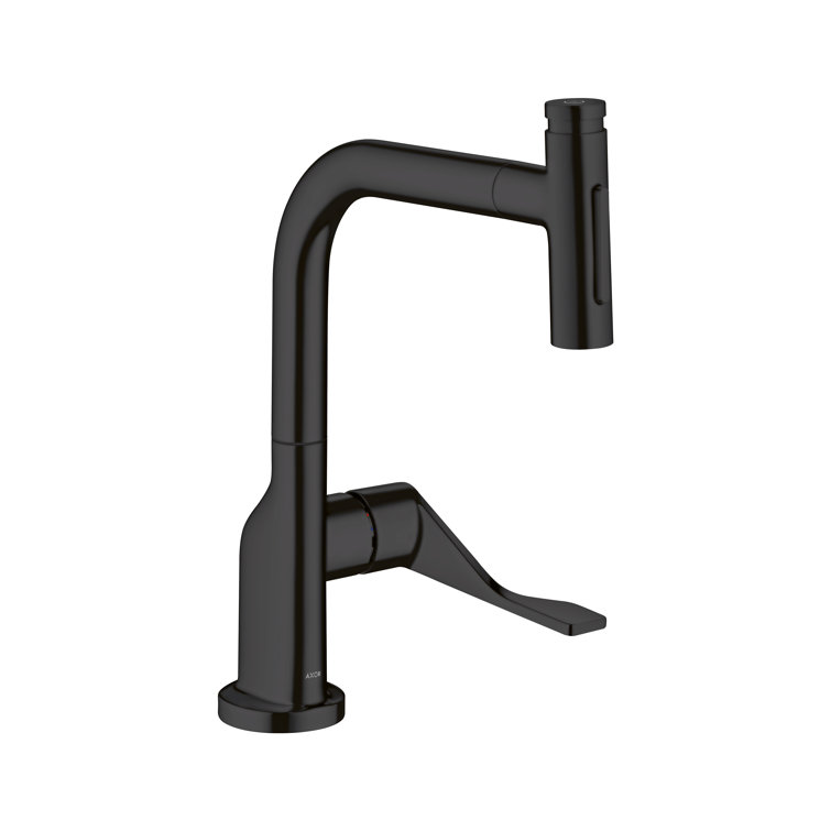 Matte Black Single-Handle Pull-Out Kitchen Faucet