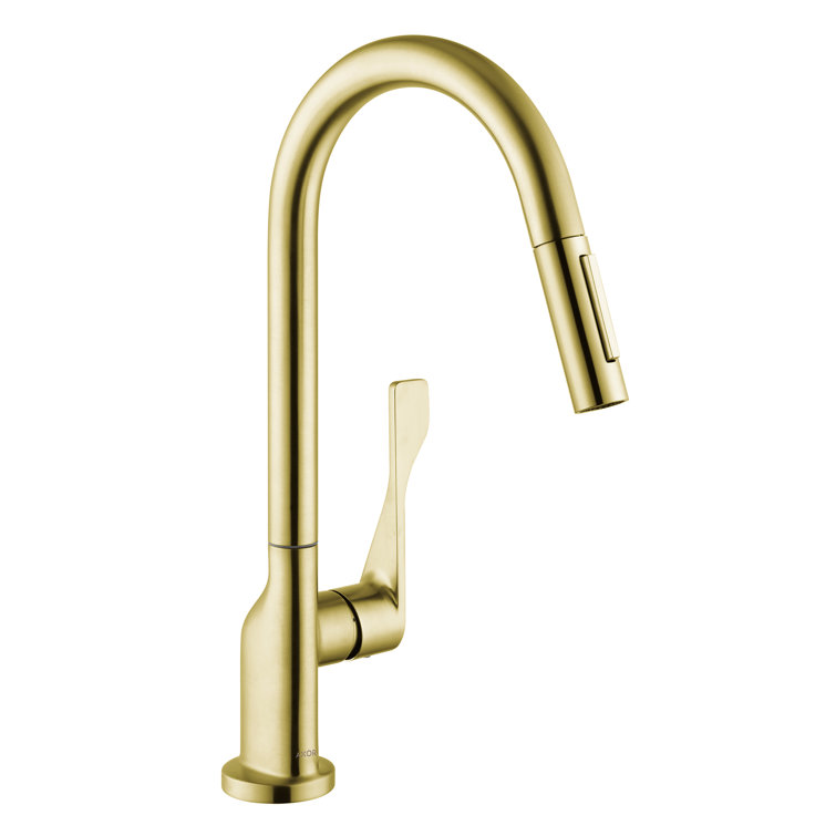 Brushed Gold Optic Pull-Down Kitchen Faucet with Spray