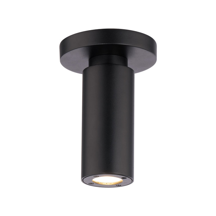 Black Aluminum LED Indoor/Outdoor Flush Mount Light