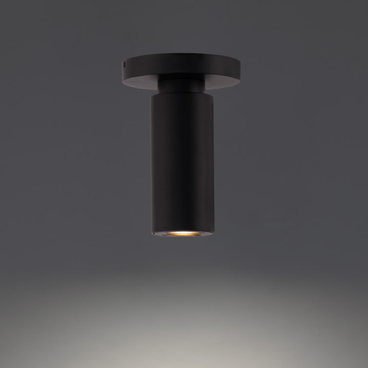 Black Aluminum LED Indoor/Outdoor Flush Mount Light
