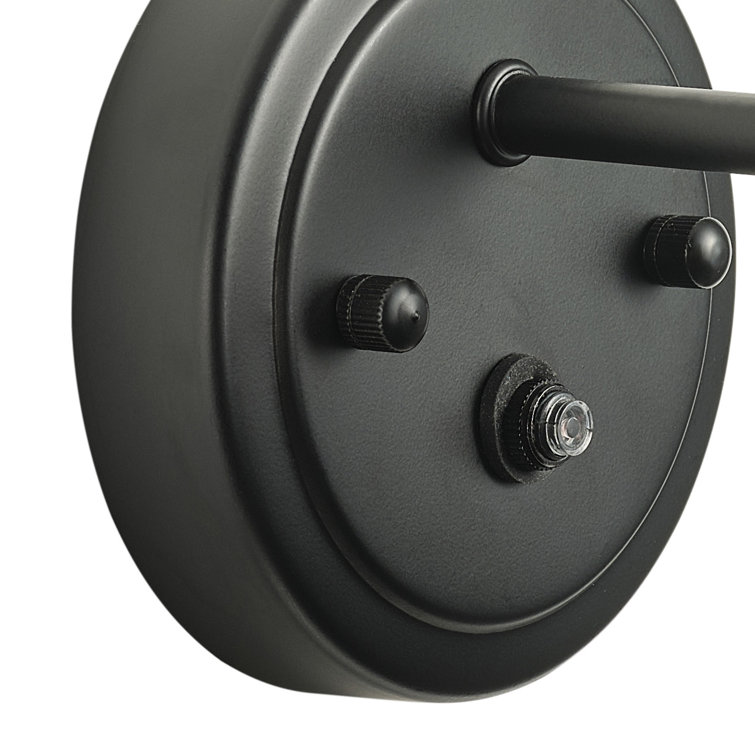 Black Iron Gooseneck Barn Wall Sconce with Wood Accent