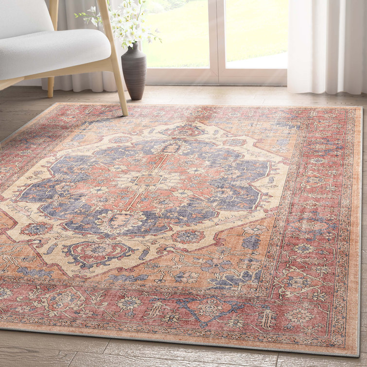 Apollo Antigua Vintage Red and Blue Chenille Area Rug 3'3" x 5'
