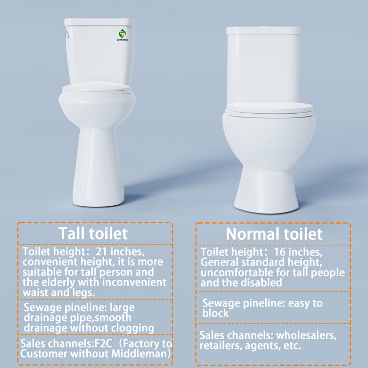21-Inch High Efficiency White Ceramic Elongated Toilet