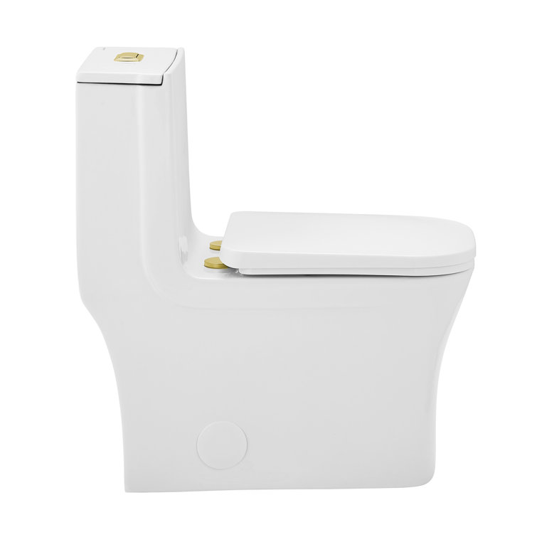 Concorde White One Piece Dual Flush Toilet with Brushed Gold Hardware
